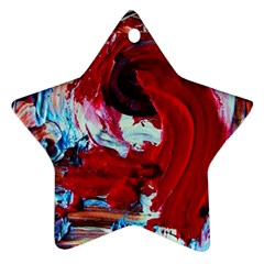 Dscf2258 - Point Of View1/1 Star Ornament (two Sides) by bestdesignintheworld