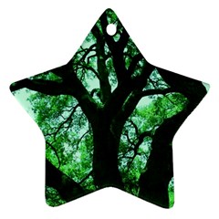 Lake Park 3 Ornament (star)
