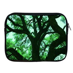 Lake Park 3 Apple Ipad 2/3/4 Zipper Cases by bestdesignintheworld