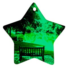 Lake Park 20 Ornament (star) by bestdesignintheworld