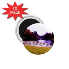 Highland Park 7 1 75  Magnets (10 Pack)  by bestdesignintheworld