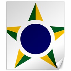 Roundel Of Brazilian Air Force Canvas 8  X 10 