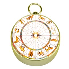 Zodiac  Institute Of Vedic Astrology Gold Compasses by Sapixe