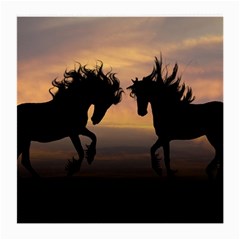 Horses Sunset Photoshop Graphics Medium Glasses Cloth
