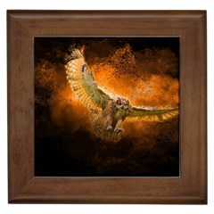 Art Creative Graphic Arts Owl Framed Tiles