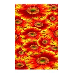 Gerbera Flowers Nature Plant Shower Curtain 48  X 72  (small) 