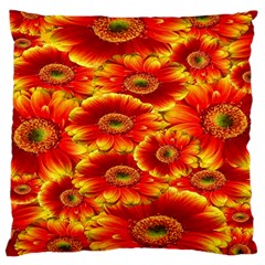 Gerbera Flowers Nature Plant Large Cushion Case (two Sides) by Sapixe