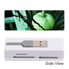 Pumpkin 7 Memory Card Reader (stick) 