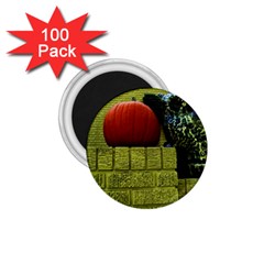 Pumpkins 10 1 75  Magnets (100 Pack)  by bestdesignintheworld