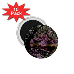 Old Tree 6 1 75  Magnets (10 Pack)  by bestdesignintheworld