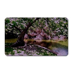 Old Tree 6 Magnet (rectangular) by bestdesignintheworld