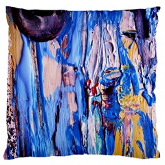 Point Of View 3/1 Large Cushion Case (two Sides) by bestdesignintheworld