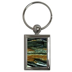 Tree In Highland Park Key Chains (rectangle)  by bestdesignintheworld