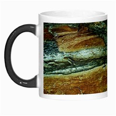 Tree In Highland Park Morph Mugs by bestdesignintheworld