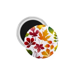 Beautiful Autumn Leaves Vector 1 75  Magnets by Nexatart