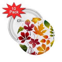 Beautiful Autumn Leaves Vector 2 25  Buttons (10 Pack)  by Nexatart