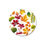 Beautiful Autumn Leaves Vector Magnet 3  (Round) Front