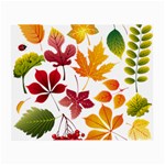Beautiful Autumn Leaves Vector Small Glasses Cloth (2-Side) Back