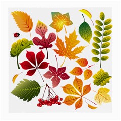 Beautiful Autumn Leaves Vector Medium Glasses Cloth (2-side) by Nexatart