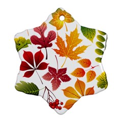 Beautiful Autumn Leaves Vector Snowflake Ornament (two Sides)