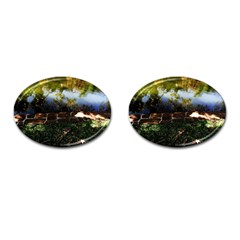 Highland Park 10 Cufflinks (oval) by bestdesignintheworld