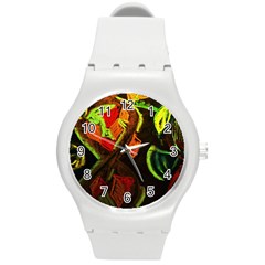 Girls Curiosity 4 Round Plastic Sport Watch (m) by bestdesignintheworld