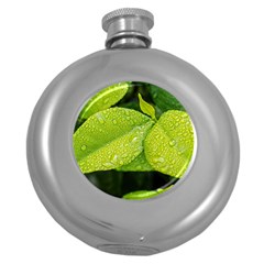 Leaf Green Foliage Green Leaves Round Hip Flask (5 Oz)