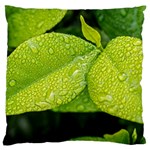 Leaf Green Foliage Green Leaves Large Cushion Case (Two Sides) Front