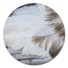 Feather Brown Gray White Natural Photography Elegant Magnet 5  (round) by yoursparklingshop