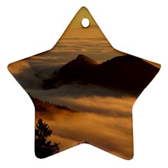 Homberg Clouds Selva Marine Star Ornament (Two Sides)