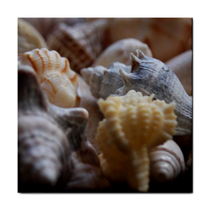 Seashells Tile Coasters