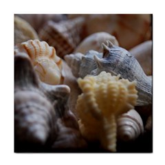 Seashells Face Towel by StarvingArtisan