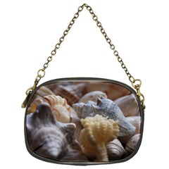 Seashells Chain Purses (one Side)  by StarvingArtisan