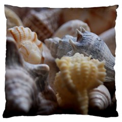 Seashells Large Flano Cushion Case (one Side) by StarvingArtisan