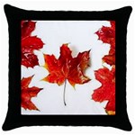 Innovative Throw Pillow Case (Black) Front