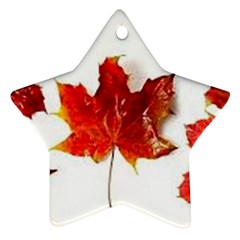 Innovative Star Ornament (two Sides) by GlobidaDesigns