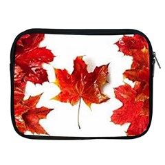 Innovative Apple Ipad 2/3/4 Zipper Cases by GlobidaDesigns