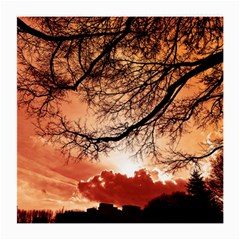 Tree Skyline Silhouette Sunset Medium Glasses Cloth (2-Side)