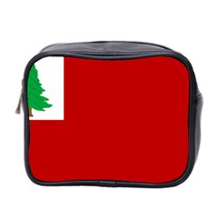 Revolutionary War Flag Of New England Mini Toiletries Bag 2-side by abbeyz71
