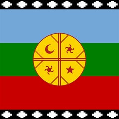 Flag Of The Mapuche People Canvas 12  X 12   by abbeyz71