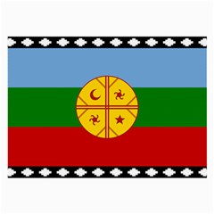 Flag Of The Mapuche People Large Glasses Cloth by abbeyz71
