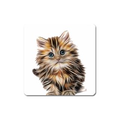 Kitten Mammal Animal Young Cat Square Magnet by Simbadda