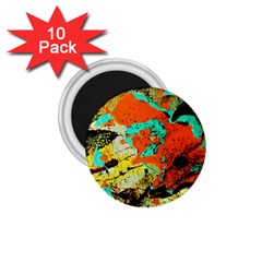 Fragrance Of Kenia 9 1 75  Magnets (10 Pack) 