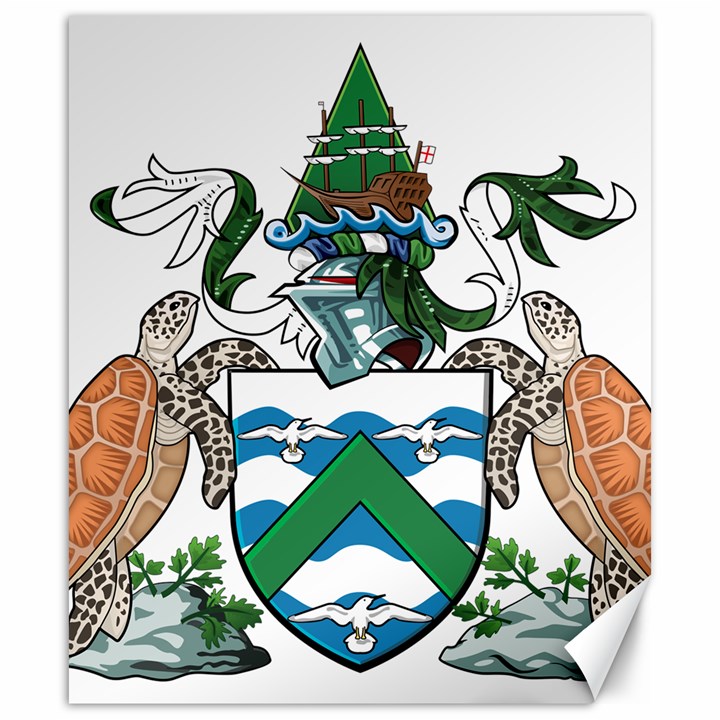 Coat of Arms of Ascension Island Canvas 20  x 24  