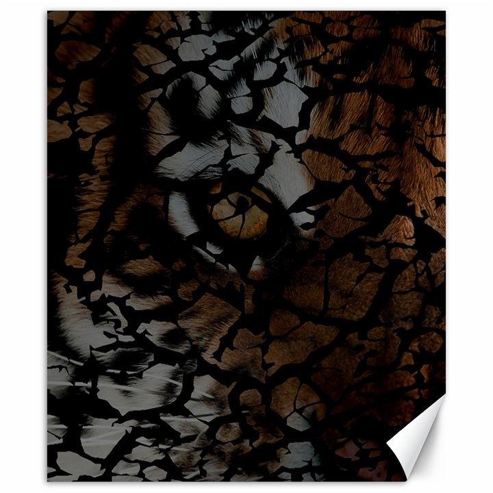 Earth Texture Tiger Shades Canvas 20  x 24  