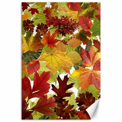 Autumn Fall Leaves Canvas 24  X 36  by LoolyElzayat