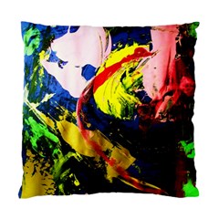 Global Warming 2 Standard Cushion Case (two Sides) by bestdesignintheworld