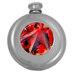 Wine Partner Wild Vine Leaves Plant Round Hip Flask (5 Oz) by Sapixe