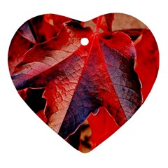 Wine Partner Wild Vine Leaves Plant Heart Ornament (two Sides)