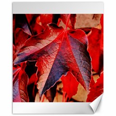 Wine Partner Wild Vine Leaves Plant Canvas 11  x 14  